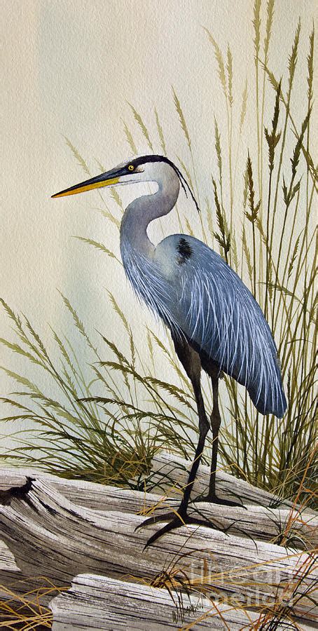 Great Blue Heron Shore Painting By James Williamson