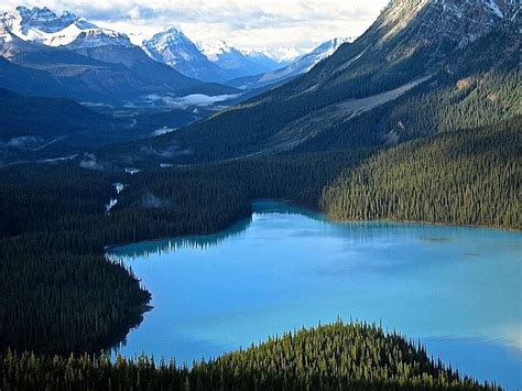 Peyto Lake Alberta Canada Travel Landscape Water Nature Mountain