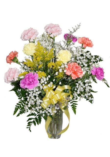 This Is Our Longest Lasting Bouquet One Dozen Mixed Carnation S