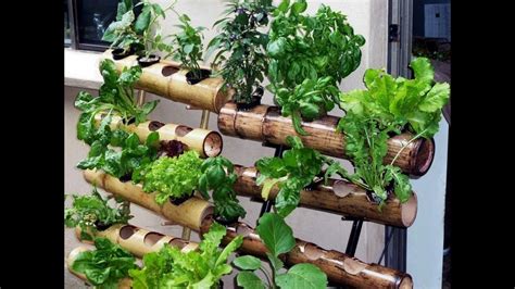 Aunque parezca obvio, hay que recordar que tenemos tres posibilidades; DIY vertical garden design ideas | Huerta en macetas ...