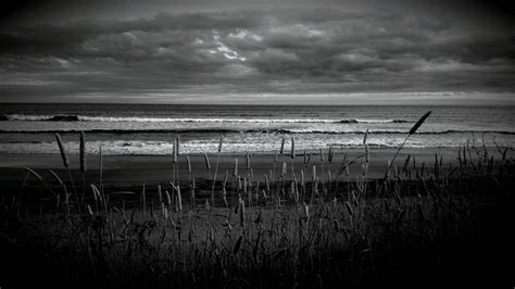 Free Stock Photo Of Beach Black Black And White