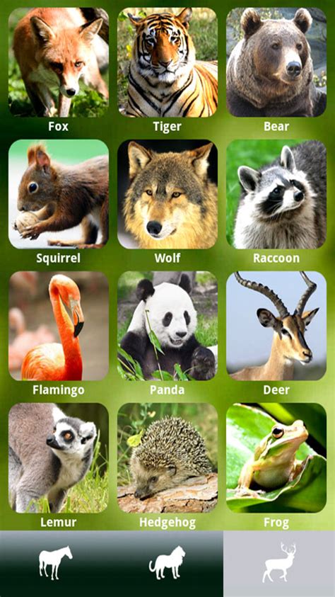 Zoola Best Animal App For Kids Apps And Games