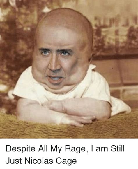 Share the best gifs now >>>. Despite All My Rage I Am Still Just Nicolas Cage | Nicolas ...