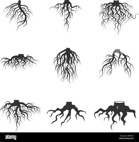 Tree And Plant Underground Roots Vector Set Tree Root Black