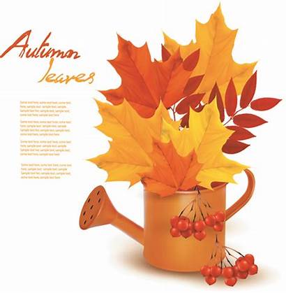 Autumn Leaves Vector Background Graphics Frame Creative