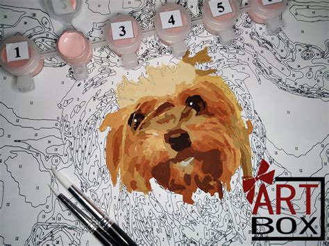Thank you for visiting my website, i am a pet portrait artist living any queries please visit my faqs page. Custom Paint by Numbers Pet Portrait Kit | Etsy in 2020 ...