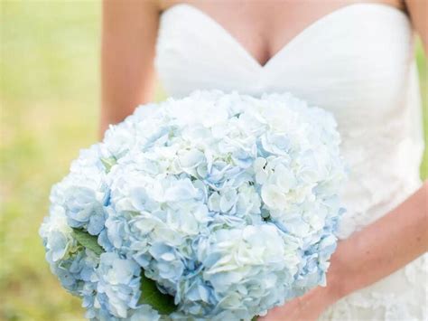 25 Hydrangea Wedding Bouquets We Cant Stop Staring At