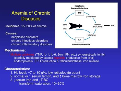 Erythropoiesis in the treatment of anemia of chronic disease with recombinant human erythropoietin. PPT - Interpretation of Diagnostic Tests PowerPoint ...