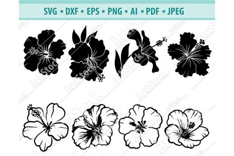 Hibiscus Svg File Hawaiian Flower Svg Fowers Dxf Eps Png 809655