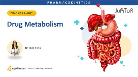 Drug Metabolism Pharmacokinetics Medical Online Education V