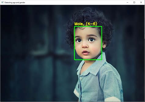 Age Gender Detection Using Opencv With Python Style Xml At Master Hot