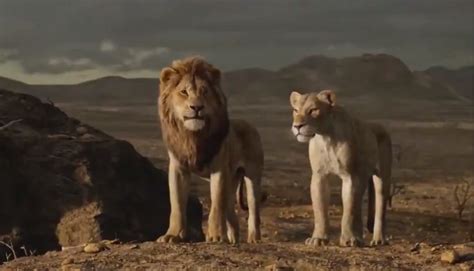 The lion king rules the weekend box office. Disney's The Lion King dominates the box office, pushes ...