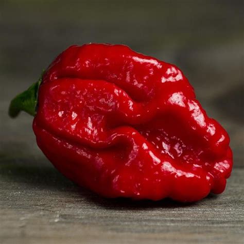 Worlds Hottest Chilli Peppers