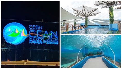 In Photos Cebu Ocean Park In Srp Cebu City Sugboph Cebu