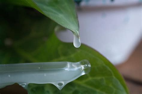 L'acido ialuronico è una sostanza idrofila in grado di legare un gran numero di molecole d'acqua; ACIDO IALURONICO. SAI PERCHÉ È IL MIGLIOR AMICO DELLA ...