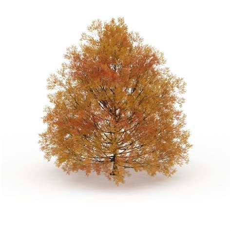 Autumn Tree 3d Model 3ds Max Files Free Download Modeling 30023 On Cadnav