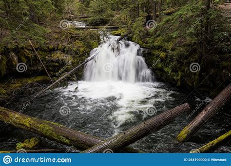 Clearwater Falls In Oregon In Umpqua National Forest Stock Photo