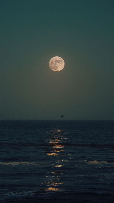 Download Wallpaper 1080x1920 Moon Night Sea Horizon Glare Samsung