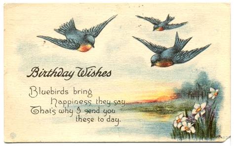 Birthday Birthday Wishes Bluebirds 1917 As Dulk