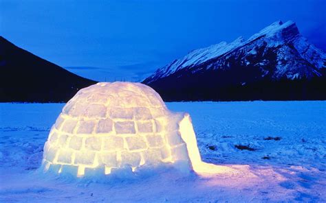 Igloo Wallpapers Top Free Igloo Backgrounds Wallpaperaccess