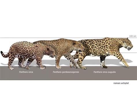 Блогът на Valentint Encyclopedia Largest Prehistoric Animals Vol 1