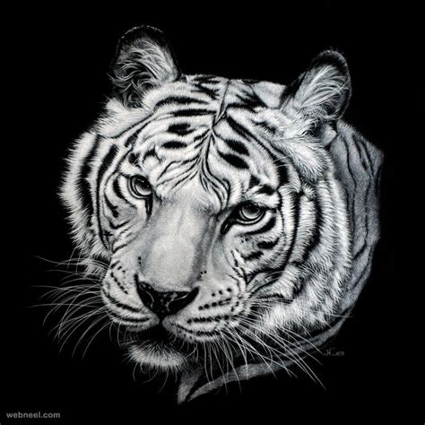 20 Beautiful And Realistic Animal Paintings By Heather Lara Read Full
