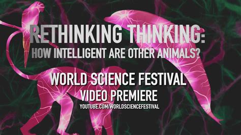 Rethinking Thinking Trailer Youtube