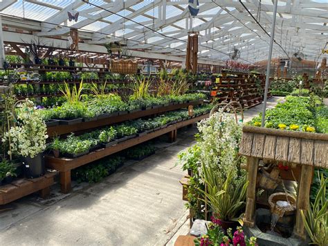 Spruce Up Your Garden With These Plant Nurseries And Garden Centers In