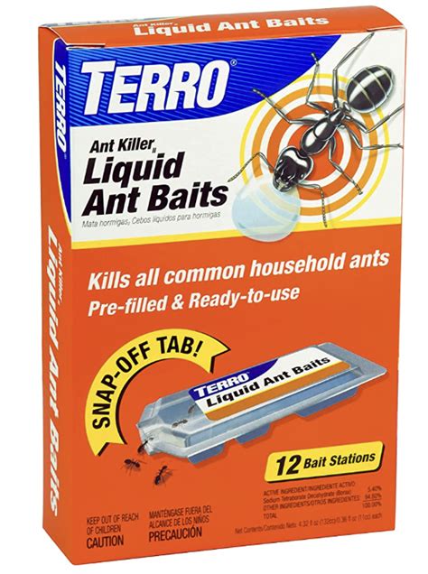 Does Lysol Kill Ants Tried And Tested In 2024 The Pest Informer