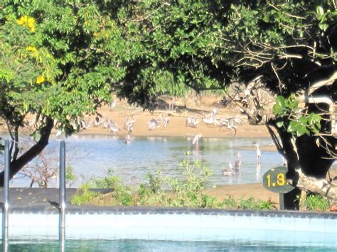 رياضية إماراتية ومؤثرة على موقع الإنستغرام، الإمارات العربية المتحدة. M.S.K: yalla سفاري (سيلان part4)