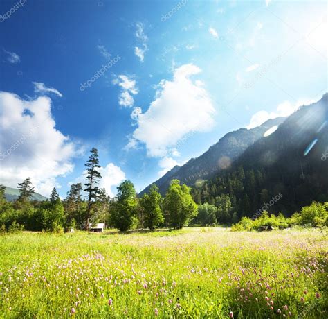Mountain Meadow — Stock Photo © Kamchatka 3098567