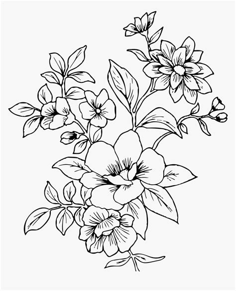 Black And White Flower Line Drawings Best Flower Site