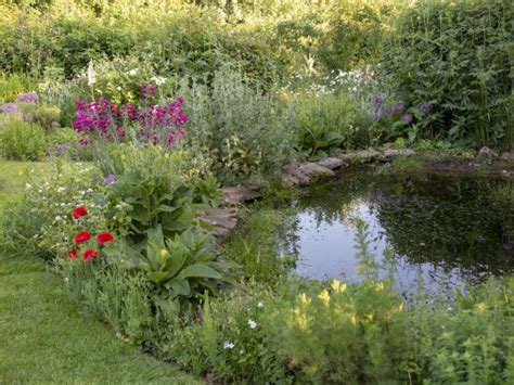 Pay for landscaping or do it yourself. 11 ideas from the best garden ponds I've seen - The Middle ...