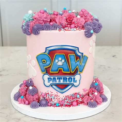 Paw Patrol Sky Cake Girls Paw Patrol Cake Paw Patrol Birthday Cake