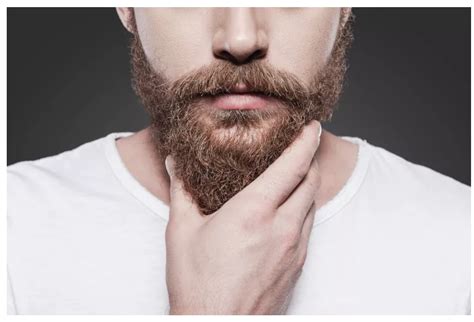 Mens Beards Harbor More Germs Than Dog Fur Law And Society Magazine