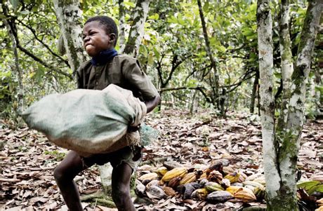 And share practices and challenges to eradicating child labour from cocoa production. The Evil Part Of Halloween You Probably Didn't Think Of