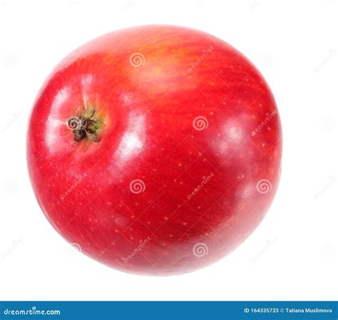 One Red Apple Isolated On White Background Stock Image Image Of Four