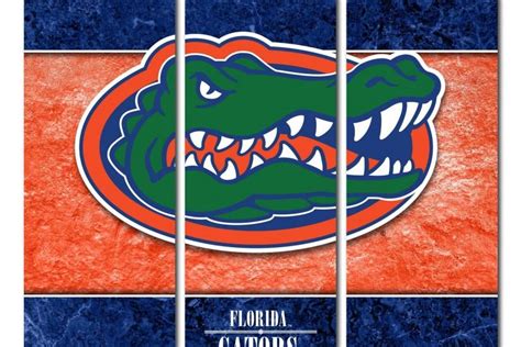 Florida Gators Wallpaper ·① Download Free Amazing