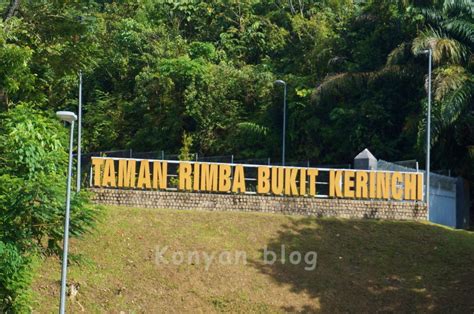 Taman rimba bukit kerinchi (gps: KL市内から行ける森林の散歩道 Taman Rimba Bukit Kerinchi，休日朝の散歩に ...