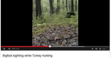 The Crypto Crew Bigfoot Sighting While Turkey Hunting Another Look