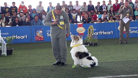 Jun 28, 2021 · ชวนมาเป็นรุ่นที่ 10 กันครับ ถึงแม้ รุ่นที่10 จะห่วยแตกหมาไม่แดรก จนได้ฉายา จอมห่วย แถมบ้าฮี ไปไหนมาไหน ก็หิ้ว มีหลวง (เคียวโกะ) เมียน้อย(ฮารุ) ออก. สุนัขทรงเลี้ยง ร.10 แสดงความสามารถงานมหกรรมสัตว์เลี้ยงแห่ง ...