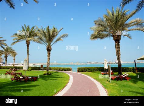 Date Palm Trees Dubai Hi Res Stock Photography And Images Alamy