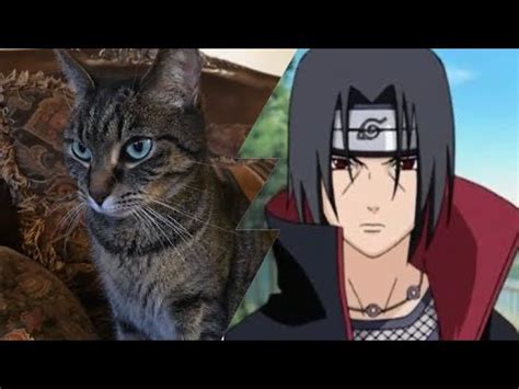 Turning A Picture Of A Cat Into Itachi From Naruto YouTube