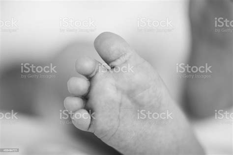 Baby Feet Stock Photo Download Image Now Baby Human Age Black