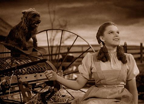 The Wizard Of Oz 1939 Photo Gallery Imdb Wizard Of Oz 1939