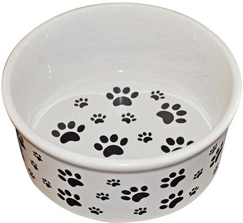 The Kitchenworthy Ceramic Pet Bowl Will Give Your Pampered Pet The