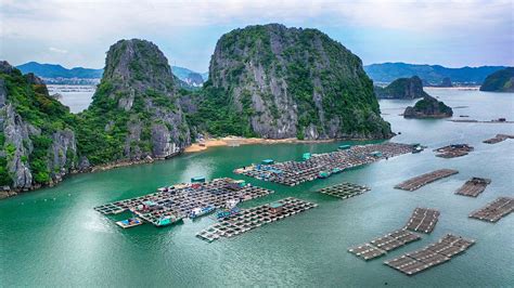 Quảng Ninh tổ chức hội thảo khoa học đề nghị xếp hạng Thương cảng Vân Đồn