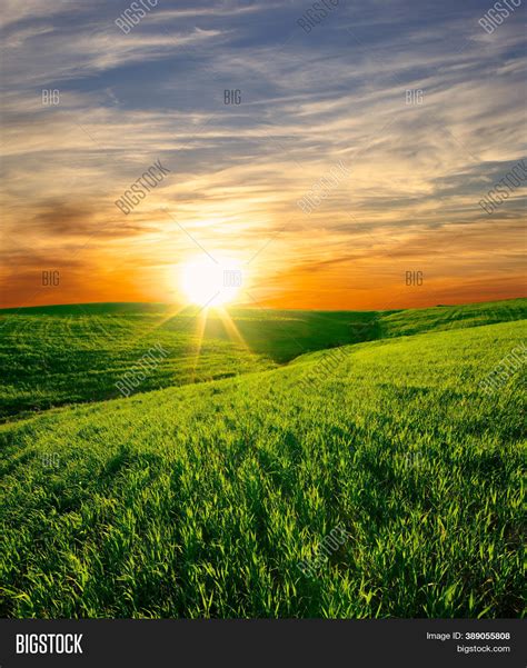 Sunset On Green Grass Image And Photo Free Trial Bigstock