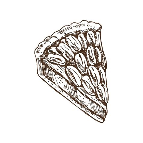 Premium Vector Hand Drawn Sketch Of Piece Of Pecan Pie With Cream Topping