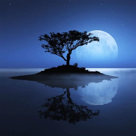 Maybe you would like to learn more about one of these? خلفيات آيباد رومانسية 2013 روعة - Romantic ipad wallpapers ...